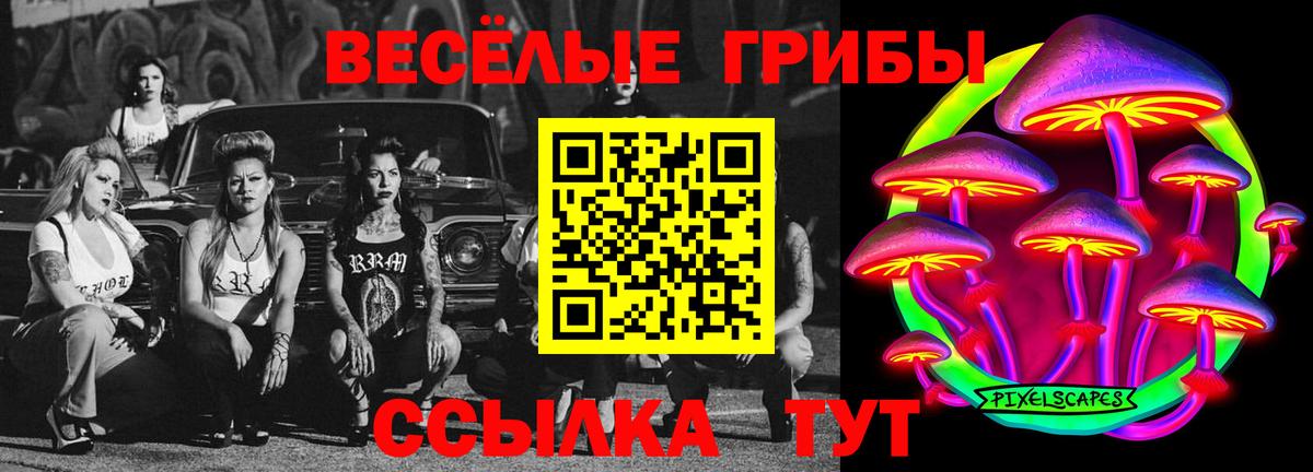 Псилоцибиновые грибы прущие грибы Верхний Уфалей